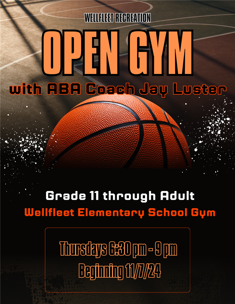 Adult Open Gym