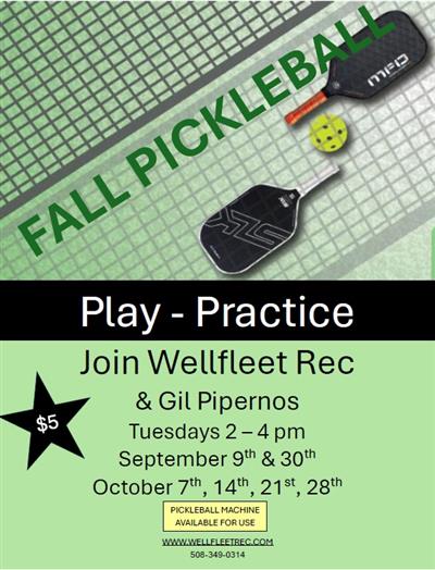 pickleball schedule 