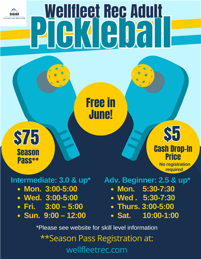 pickleball schedule 