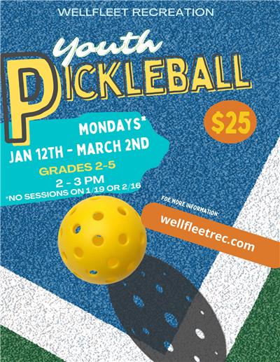 pickleball 