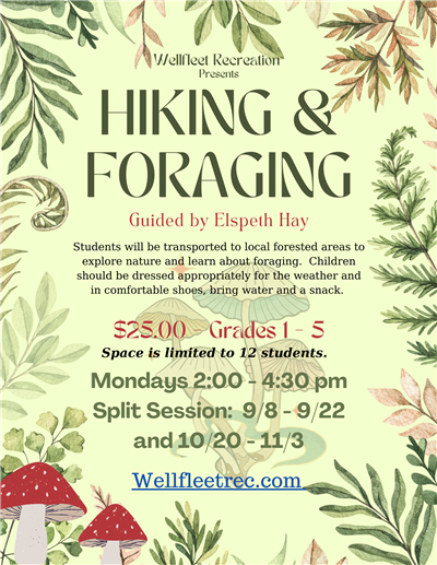 Hiking & Foraging